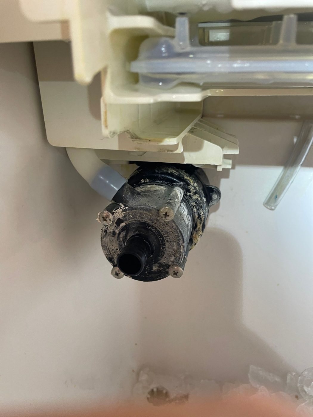 Circulation pump in a Hoshizaki undercounter ice machine
