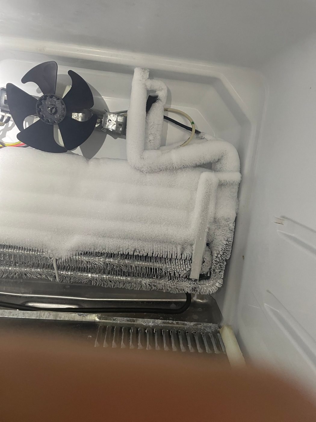 Ice built up on the evaporator coil and fan of a GE top freezer refrigerator